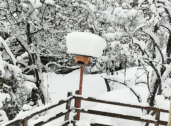 Apartmán Db Finkenberg