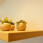 Db Apartment *