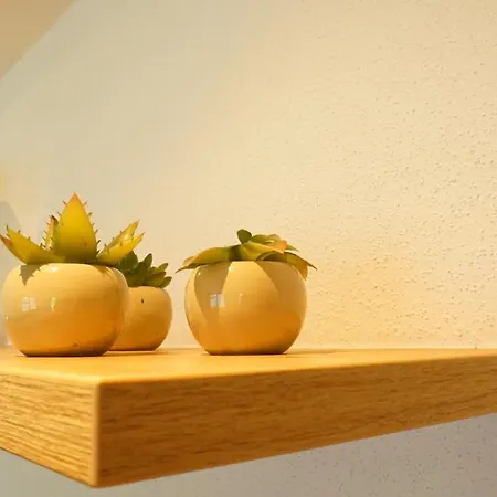 Db Apartament *